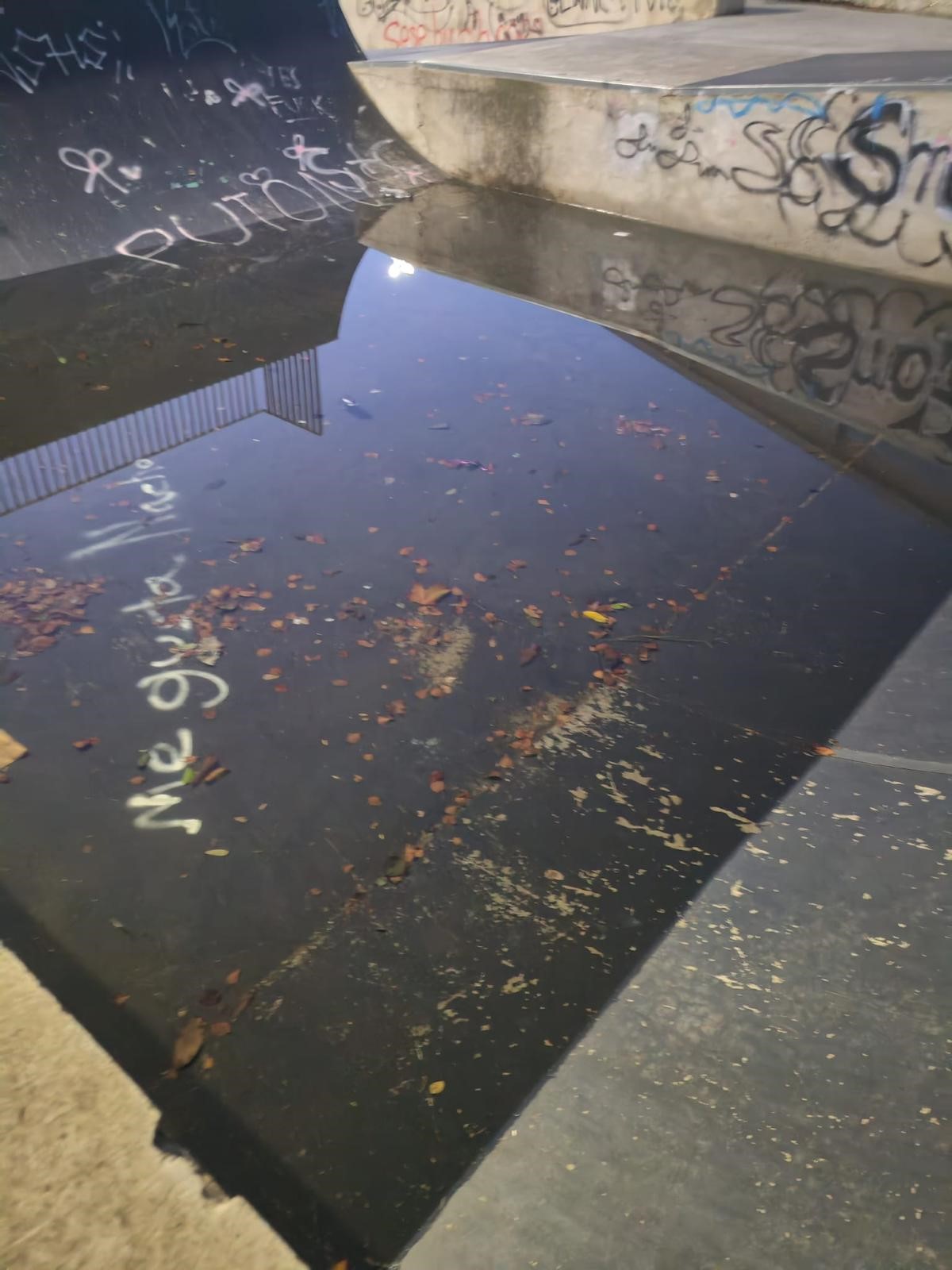 O PSOE da Laracha denuncia o estado da pista de skate do municipio