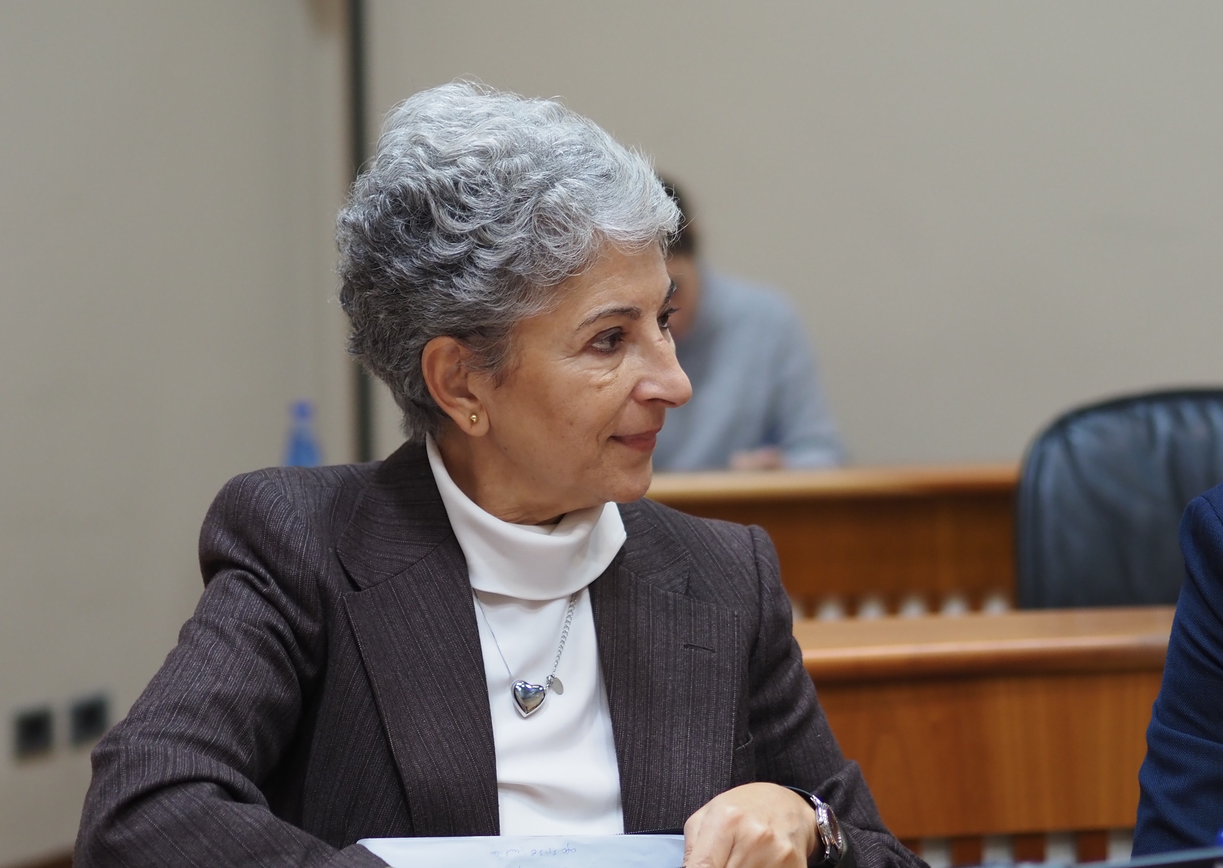 O Grupo Socialista acusa a Educación de poñer ao CEIP Ramón María del Valle Inclán de Oleiros “na costa abaixo”