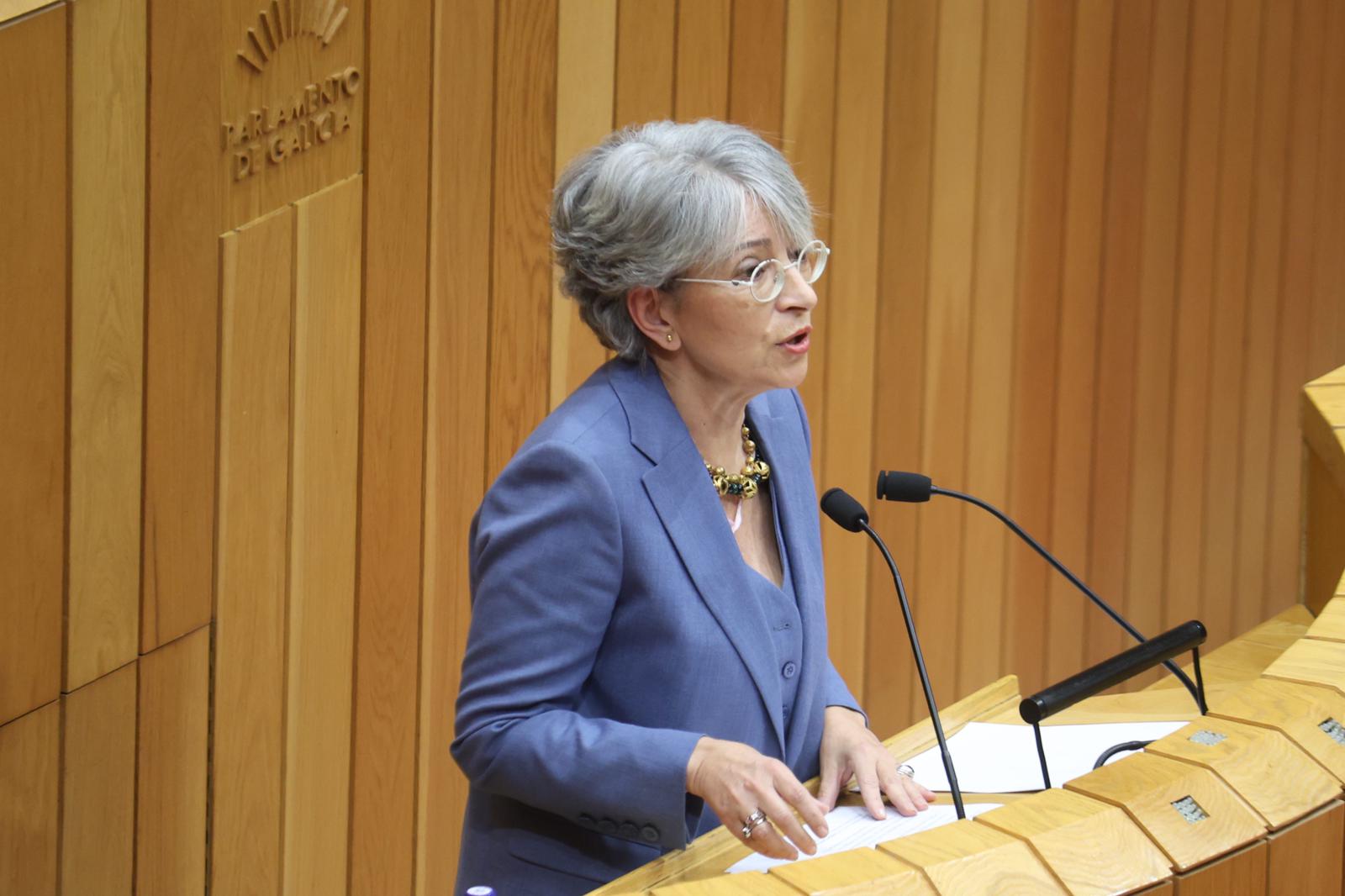 O PSdeG denuncia a saturación e falta de liñas do transporte público por estrada en Oleiros