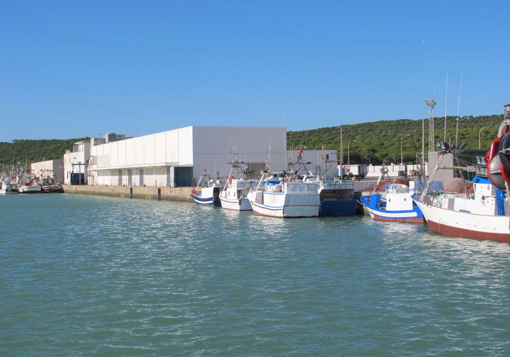 El PSOE de Barbate en contra del cierre de la fábrica de hielo y la pérdida de empleo de sus trabajadores