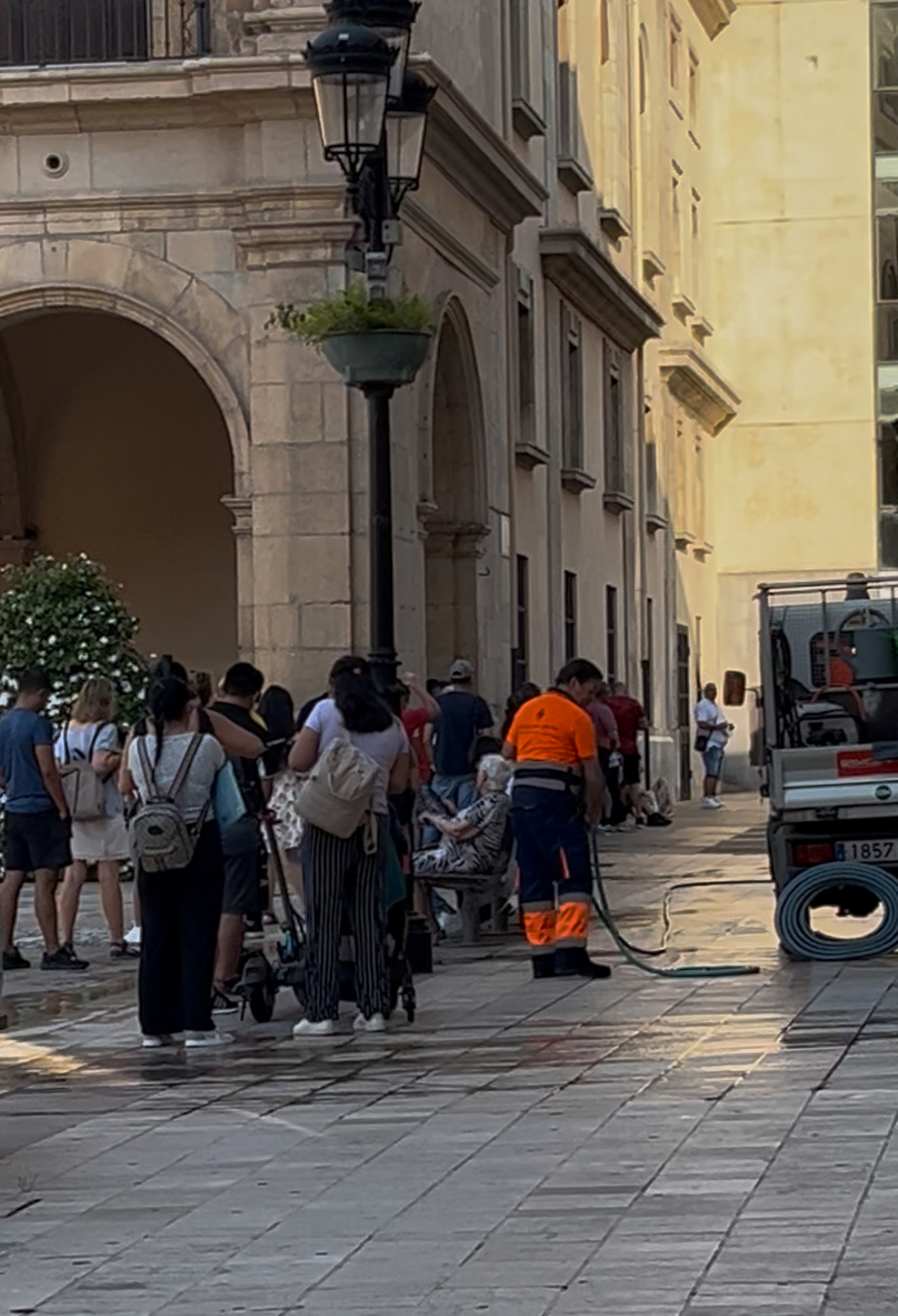 El PSPV ‘convida’ a Vicent Sales a “fer-se un volt als matins pel Registre General perquè veja les llargues cues que pateix la ciutadania”