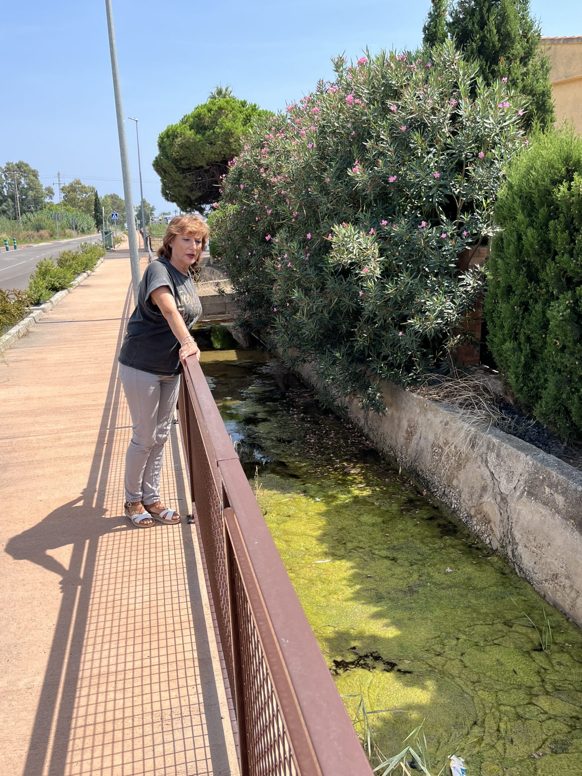 El PSPV reclama a Carrasco el mantenimiento y limpieza de la acequia y accesos a las viviendas del Camí de la Ratlla de Castelló