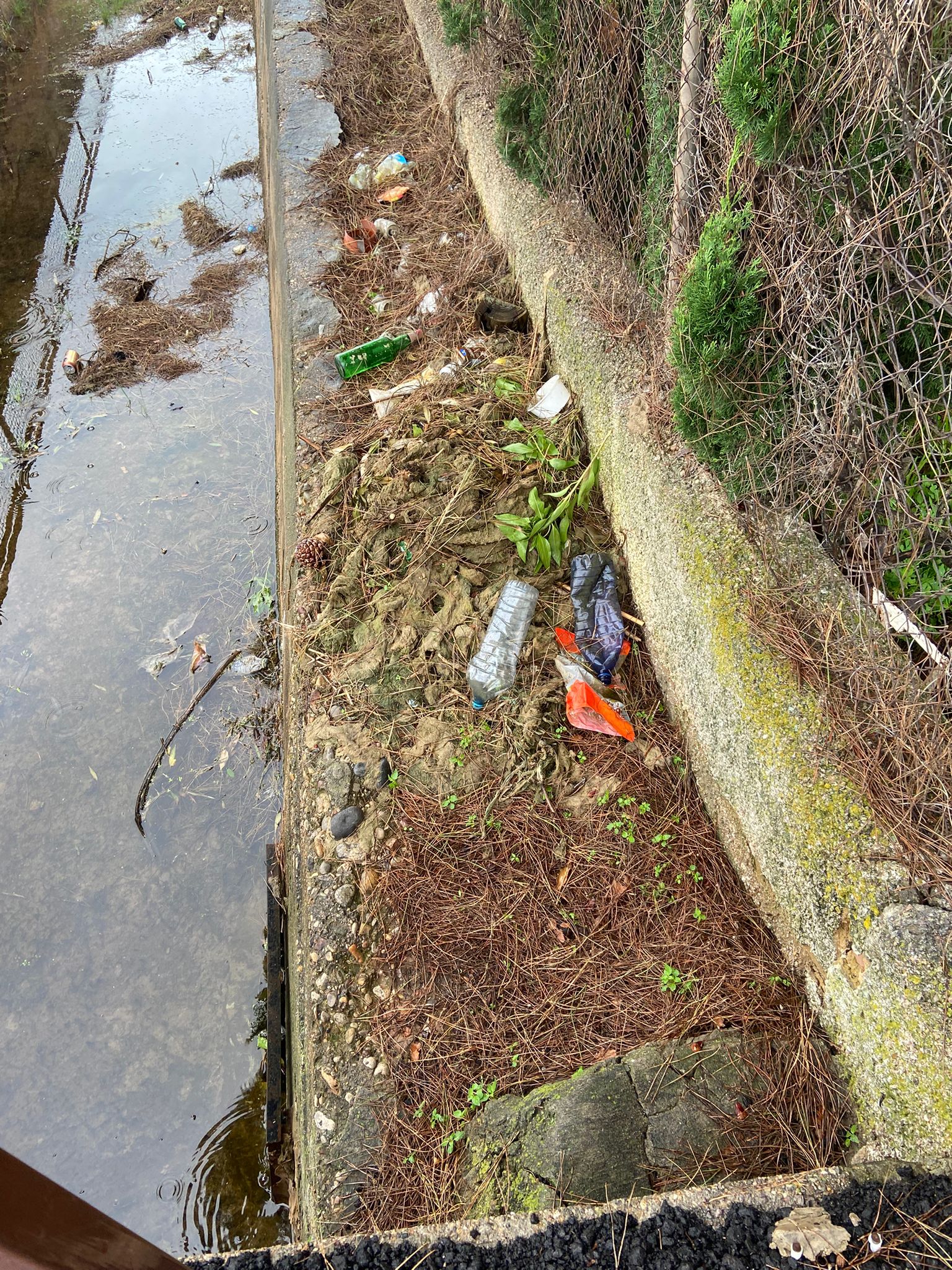 El govern de Carrasco abandona als veïns i veïnes del Camí la Ratlla en seguir sense netejar la séquia i no combatre la plaga de mosquits