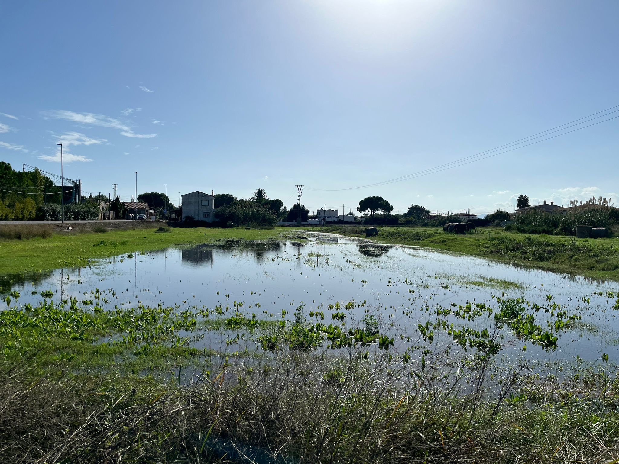 El PSPV reclama al Consell más dinero y coordinación municipal para atajar los mosquitos en Castelló