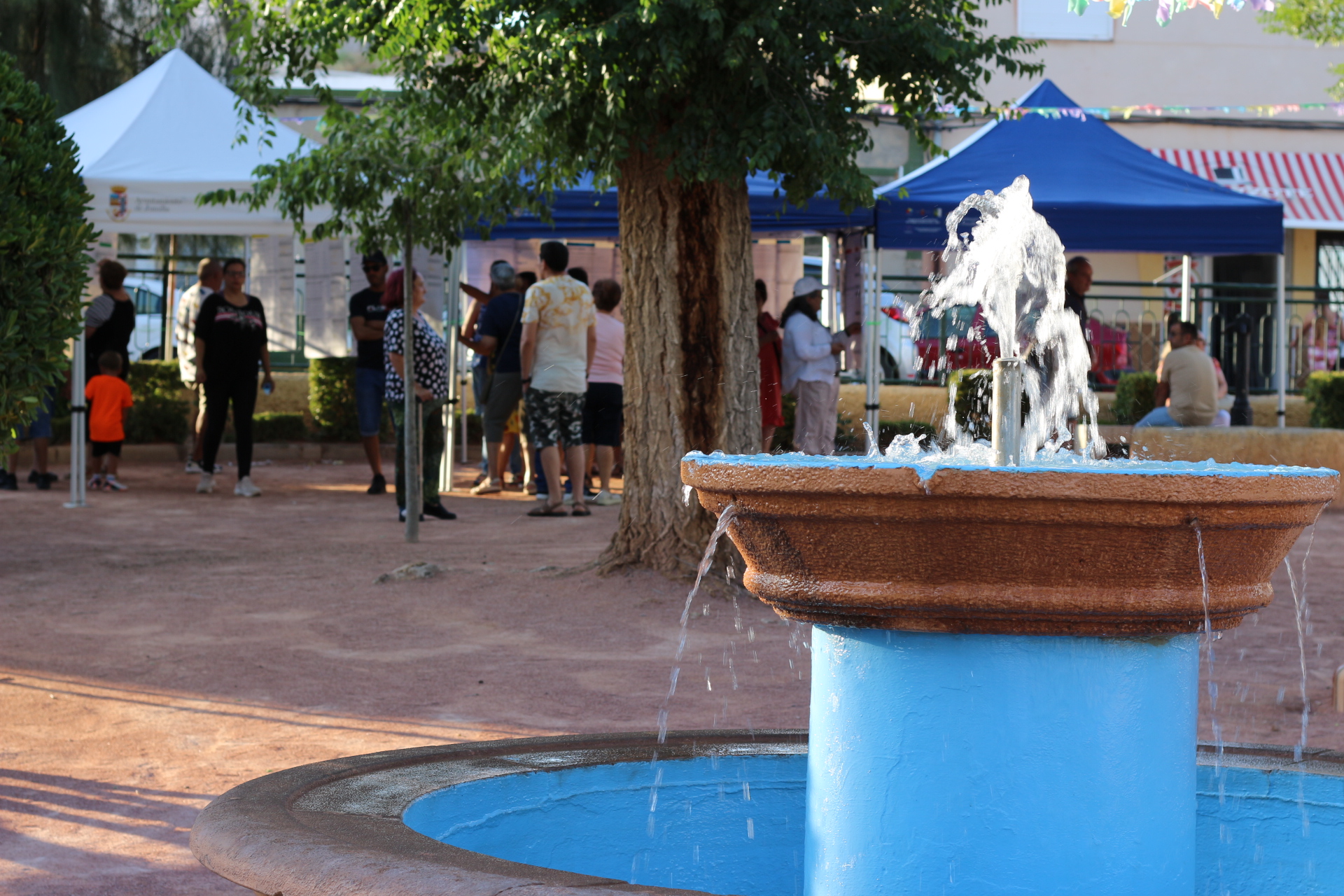 Solicitamos que se dé continuidad a la mejora del Jardín del Ancho