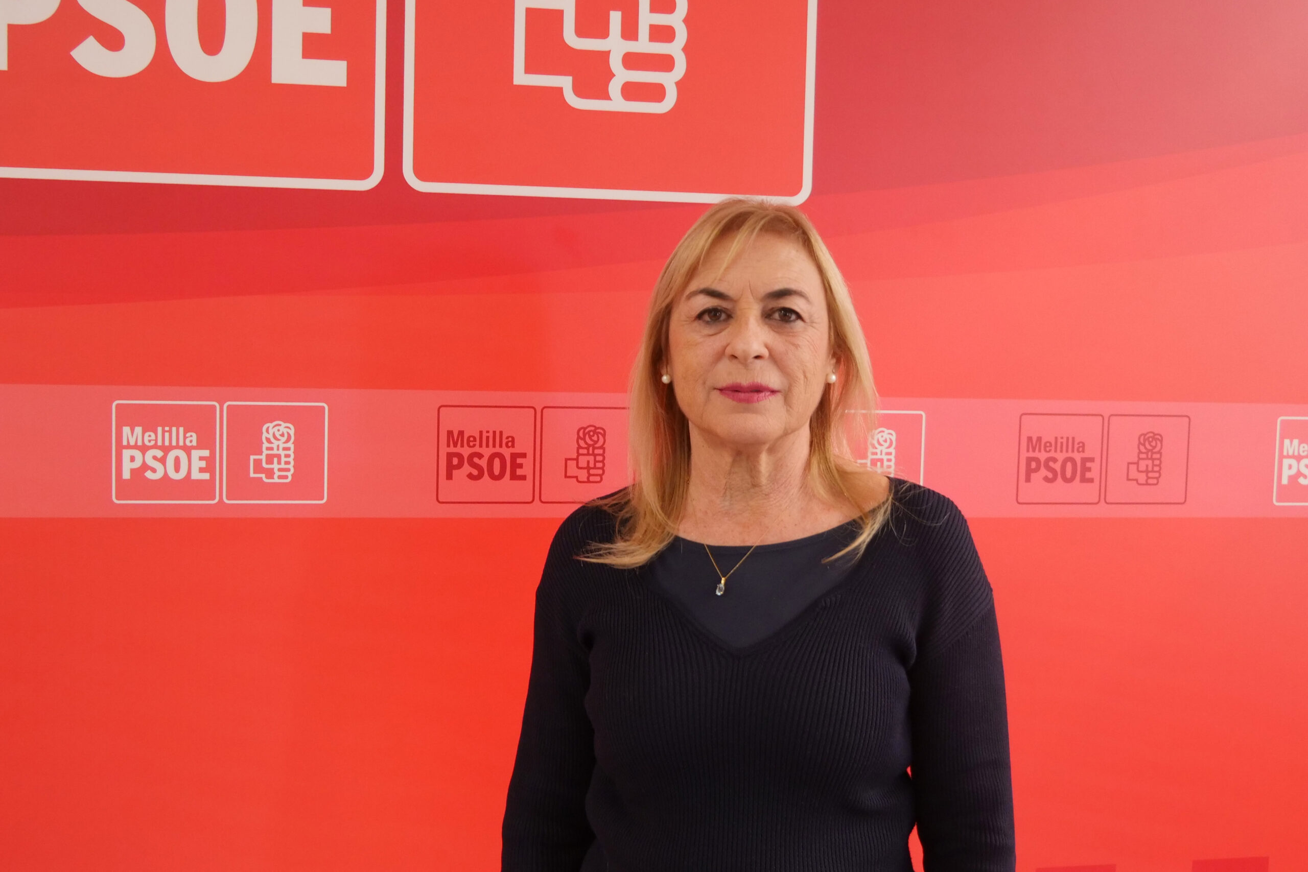 Maeso denuncia el abandono del Gobierno Local hacia las colonias felinas de Melilla