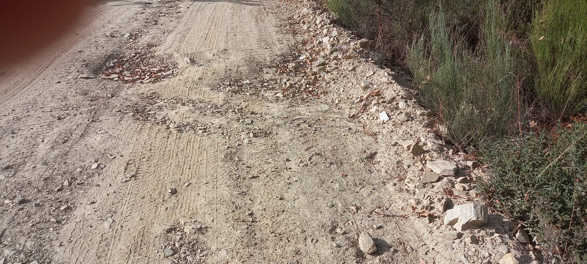 El Grupo Socialista pide la reparación del camino entre Espinoso y Compludo tras los daños ocasionados por los trabajos de limpieza realizados por la Junta