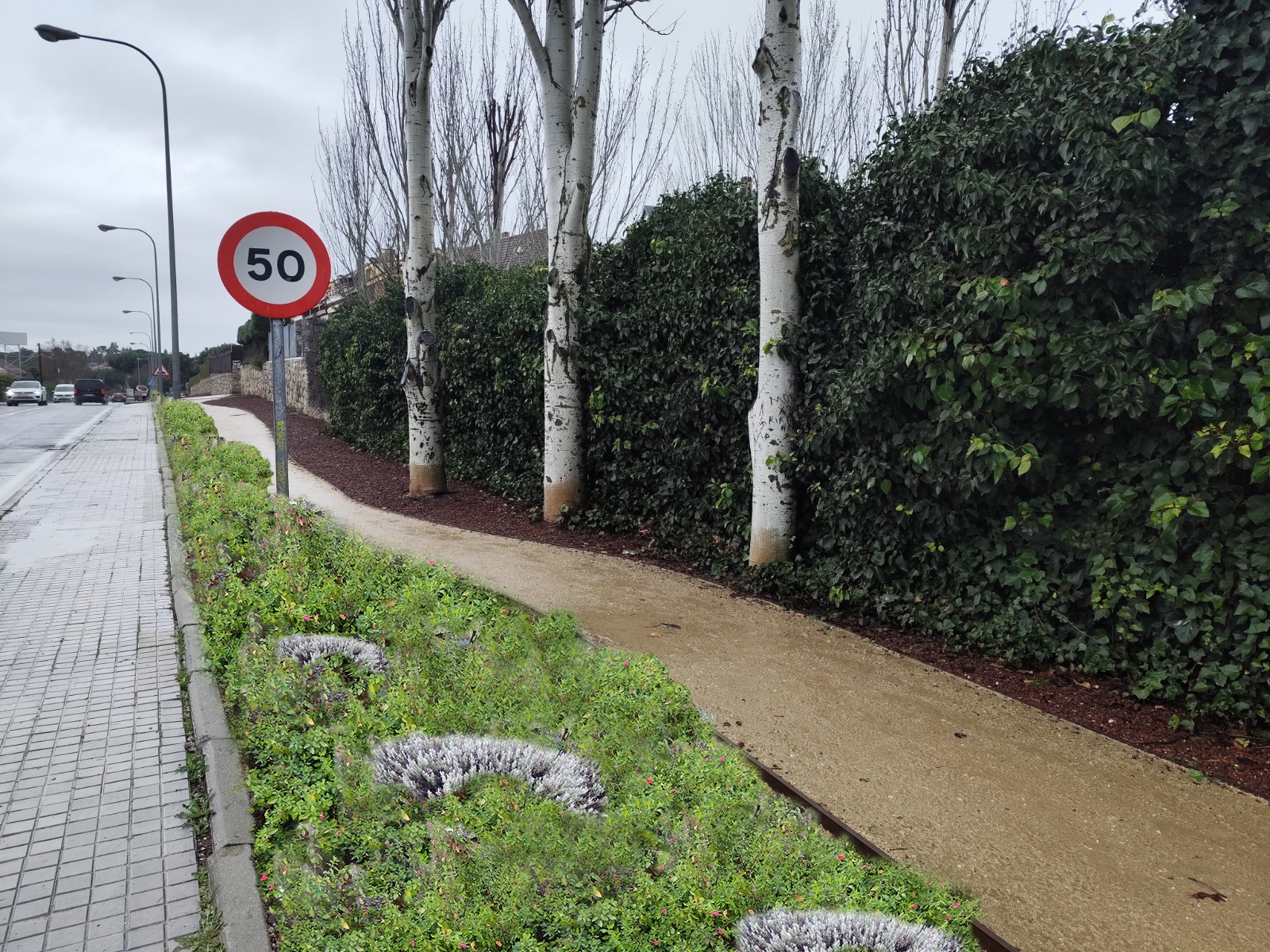 El PSOE propone un Plan de Renaturalización de Vías Urbanas para ganar espacio al asfalto y al cemento