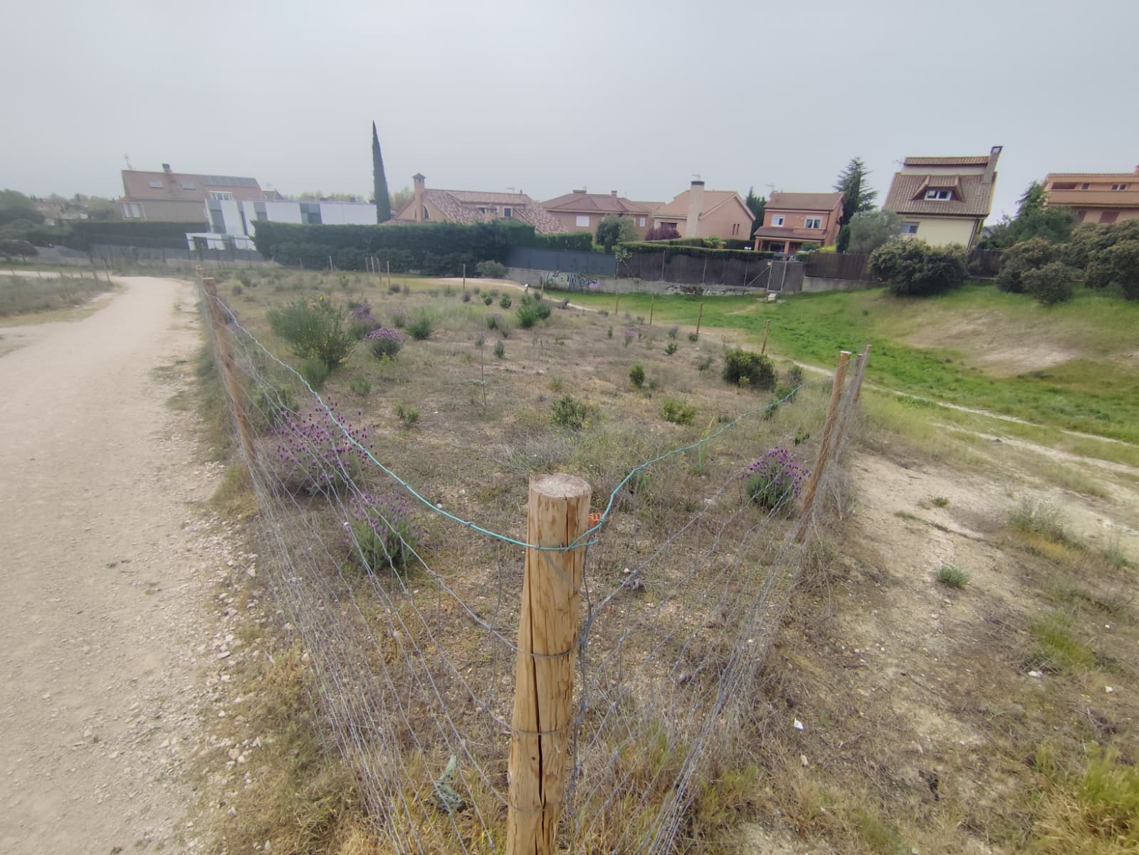 El Grupo Socialista reclama mejoras en las áreas caninas de Torrelodones